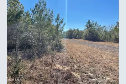 00000 Velvet Drive, Chipley, FL 32428 - Photo 4
