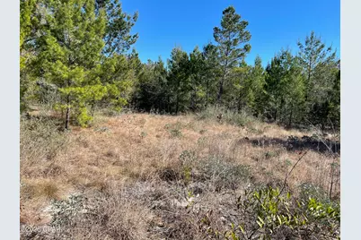 00000 Velvet Drive, Chipley, FL 32428 - Photo 1