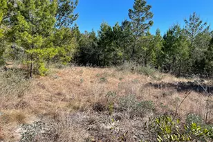 00000 Velvet Dr, Chipley, FL 32428 - Photo 1