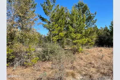 00000 Velvet Drive, Chipley, FL 32428 - Photo 2