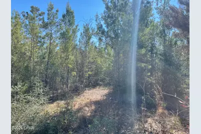 00000 Velvet Drive, Chipley, FL 32428 - Photo 10