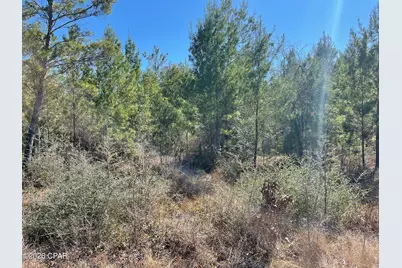 00000 Velvet Drive, Chipley, FL 32428 - Photo 8