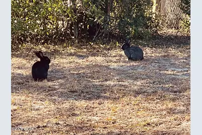 3133 Jenks Avenue, Panama City, FL 32405 - Photo 12