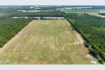 0 Peanut Road, Cottondale, FL 32431 - Photo 4