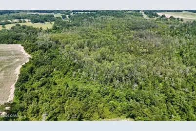 0 Peanut Road, Cottondale, FL 32431 - Photo 8