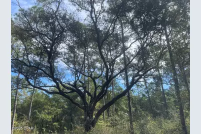 0000 Lavon Road, Milton, FL 32583 - Photo 10