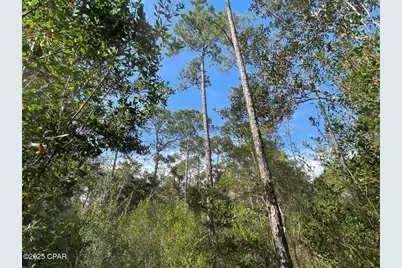 0000 Lavon Road, Milton, FL 32583 - Photo 2