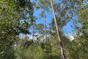 0000 Lavon Rd, Milton, FL 32583 - Photo 1