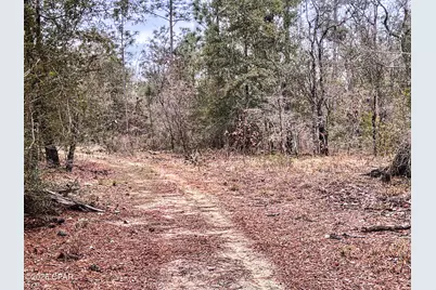 3340 Varsey Lane, Marianna, FL 32448 - Photo 8