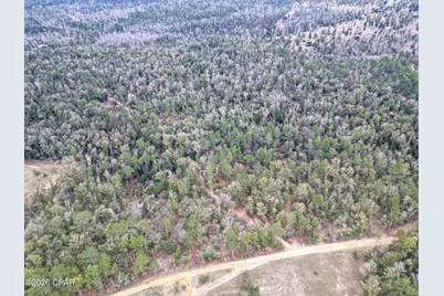 3340 Varsey Lane, Marianna, FL 32448 - Photo 1