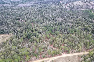 3340 Varsey Ln, Marianna, FL 32448 - Photo 1