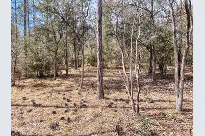 3340 Varsey Lane, Marianna, FL 32448 - Photo 10