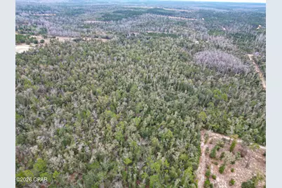 3340 Varsey Lane, Marianna, FL 32448 - Photo 2