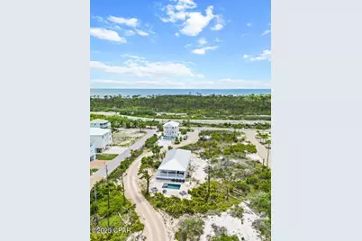 135 Swirly Sun Drive, Port Saint Joe, FL 32456 - Photo 38