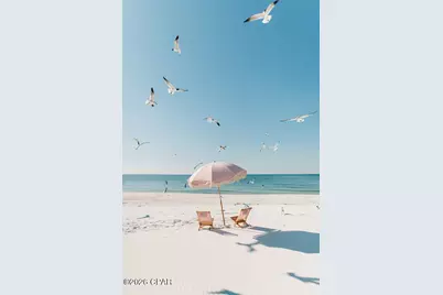 830 Oleander Avenue, Mexico Beach, FL 32456 - Photo 6