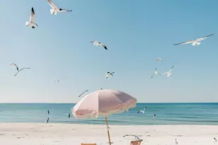 830 Oleander Ave, Mexico Beach, FL 32456 - Photo 6