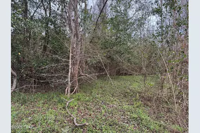 0 Fl-65, Hosford, FL 32334 - Photo 6