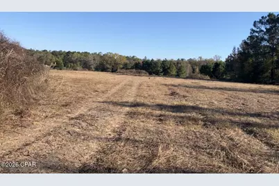0 Fl-65, Hosford, FL 32334 - Photo 1