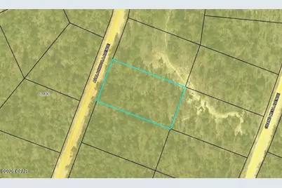 00 Apalachicola Avenue, Alford, FL 32420 - Photo 2