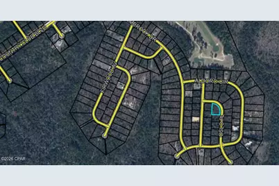 Lot 11 Oslo Place, Chipley, FL 32428 - Photo 14