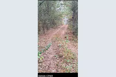 00 S River Road, Vernon, FL 32462 - Photo 6