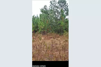 00 S River Road, Vernon, FL 32462 - Photo 4