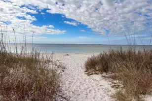 1861 Backwater Rd, Port Saint Joe, FL 32456 - Photo 30