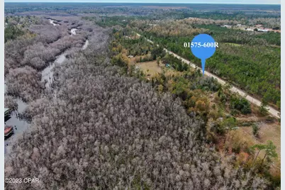 706 Dead Lakes Drive, Wewahitchka, FL 32465 - Photo 4