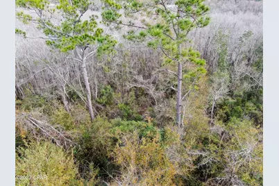 706 Dead Lakes Drive, Wewahitchka, FL 32465 - Photo 14