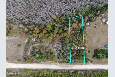 706 Dead Lakes Drive, Wewahitchka, FL 32465 - Photo 2