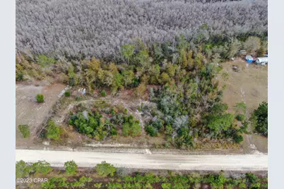 706 Dead Lakes Drive, Wewahitchka, FL 32465 - Photo 6