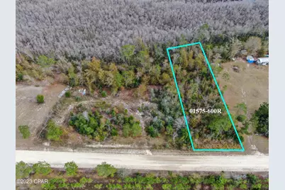 706 Dead Lakes Drive, Wewahitchka, FL 32465 - Photo 1