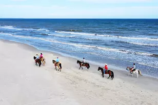 1214 Long Ave, Port Saint Joe, FL 32456 - Photo 36