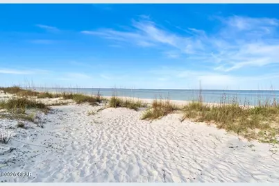 458 Vermilion Circle, Port Saint Joe, FL 32456 - Photo 2
