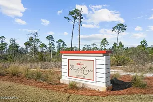 458 Vermilion Cir, Port Saint Joe, FL 32456 - Photo 4