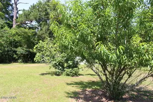 2100 3rd Ave, Sneads, FL 32460 - Photo 20