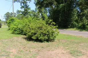 2100 3rd Ave, Sneads, FL 32460 - Photo 24