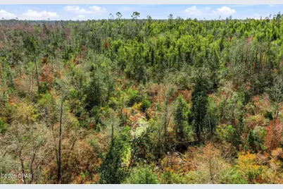 000 Blue Springs Road, Youngstown, FL 32466 - Photo 6