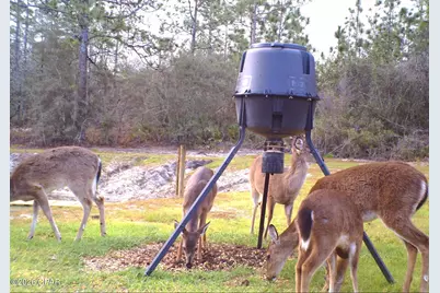 00 Elkcam Boulevard, Southport, FL 32409 - Photo 10