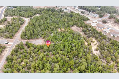 0000 Tassel Court, Chipley, FL 32428 - Photo 6