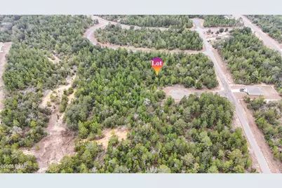 0000 Tassel Court, Chipley, FL 32428 - Photo 8