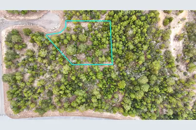 0000 Tassel Court, Chipley, FL 32428 - Photo 1