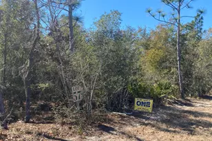 4520 Silkwater Ln, Southport, FL 32409 - Photo 1