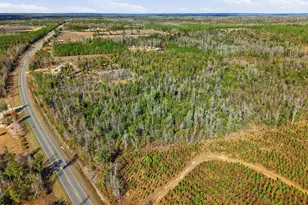 17051 NW County Road 287, Clarksville, FL 32430 - Photo 6