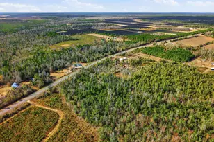 17051 NW County Road 287, Clarksville, FL 32430 - Photo 4