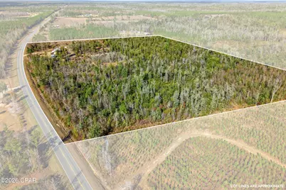 17051 NW County Road 287, Clarksville, FL 32430 - Photo 10