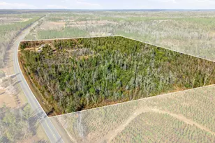 17051 NW County Road 287, Clarksville, FL 32430 - Photo 10