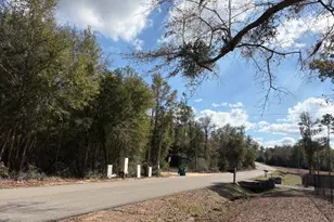 24798 NW County Road 73A, Altha, FL 32421 - Photo 10