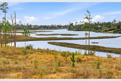 295 Hugh Thomas Drive, Panama City, FL 32404 - Photo 6