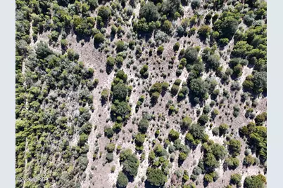 0 Nortek Boulevard, Alford, FL 32420 - Photo 10